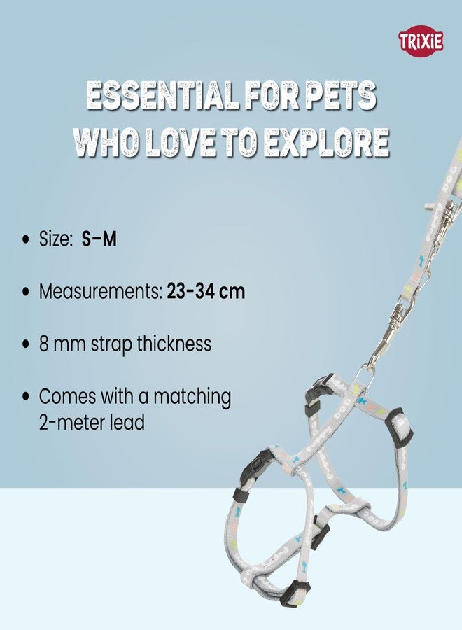 Trixie Junior Puppy Harness with Leash, S-M: 23-34 cm/8 Mm, 2.00 M, Light Grey - Image 5